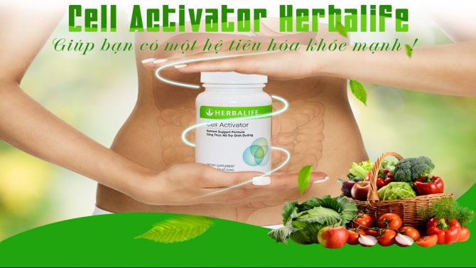 Cell Activator Herbalife giúp bạn có một hệ tiêu hóa khỏe mạnh